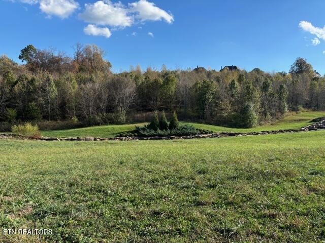 330 Barnsley Road Farragut, TN 37934 - Photo 1 of 4 IMG_1951