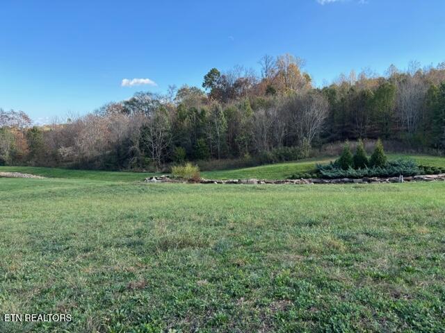 330 Barnsley Road Farragut, TN 37934 - Photo 4 of 4 IMG_1944