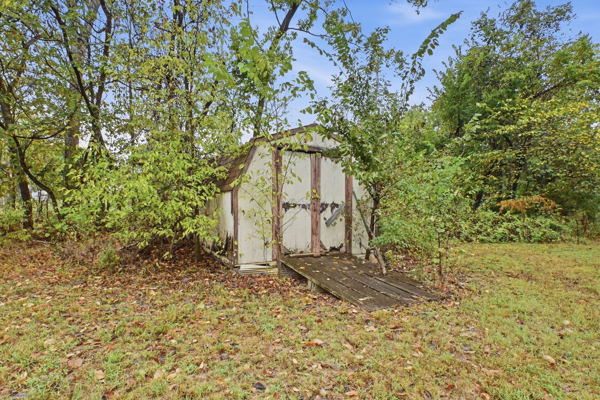 5307 South 55th Road Walnut Grove, MO 65770 - Photo 9 of 38 9-web-or-mls-VisualWorks_Design_LLC_032