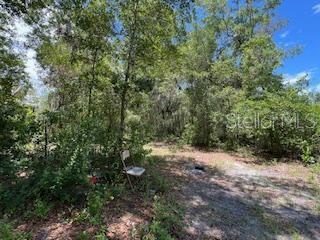 207 Ridge Street Pomona Park, FL 32181 - Photo 4 of 12