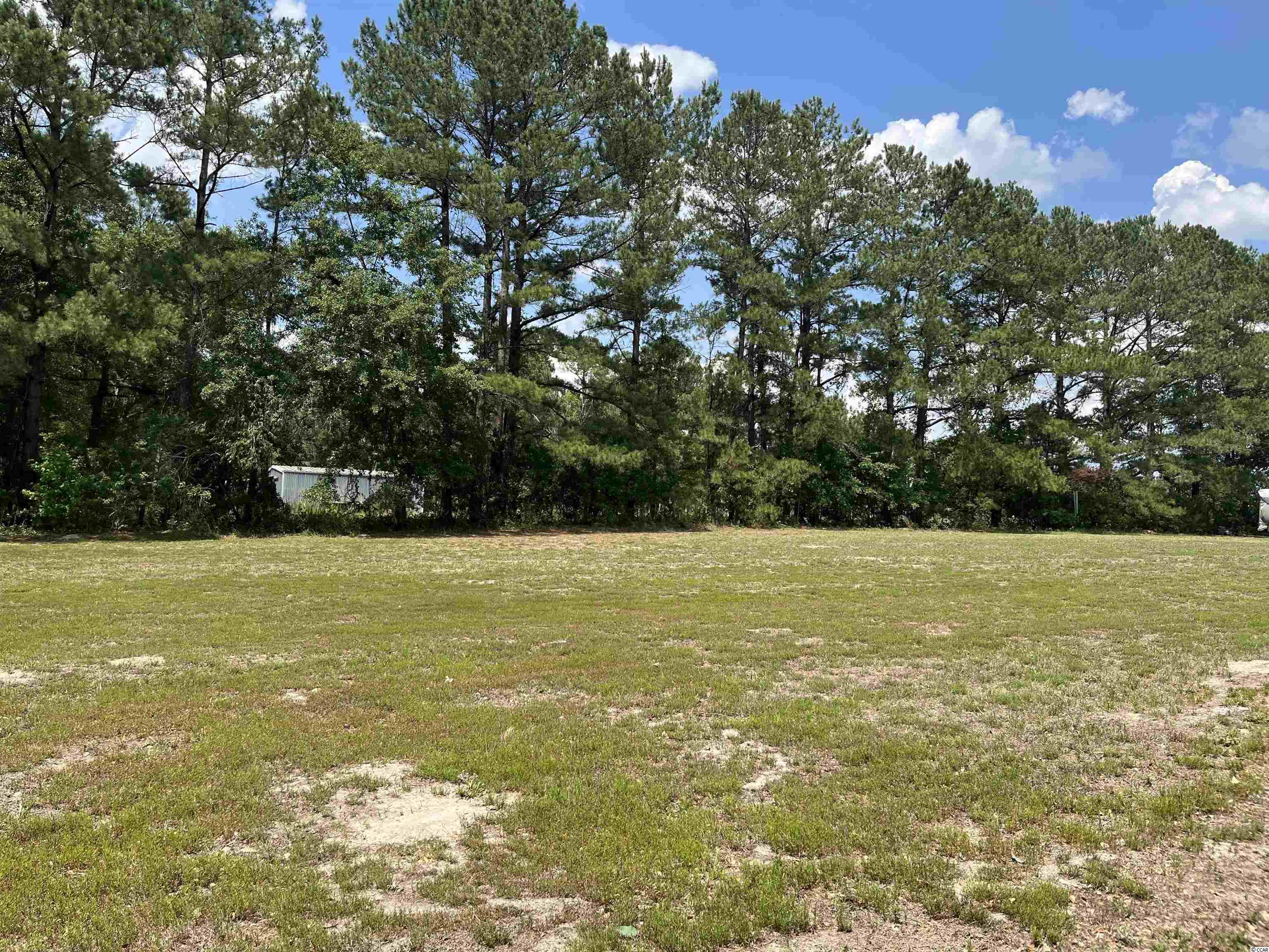 2501 Wise Road Conway, SC 29526 - Photo 4 of 16 Gallery Image 4