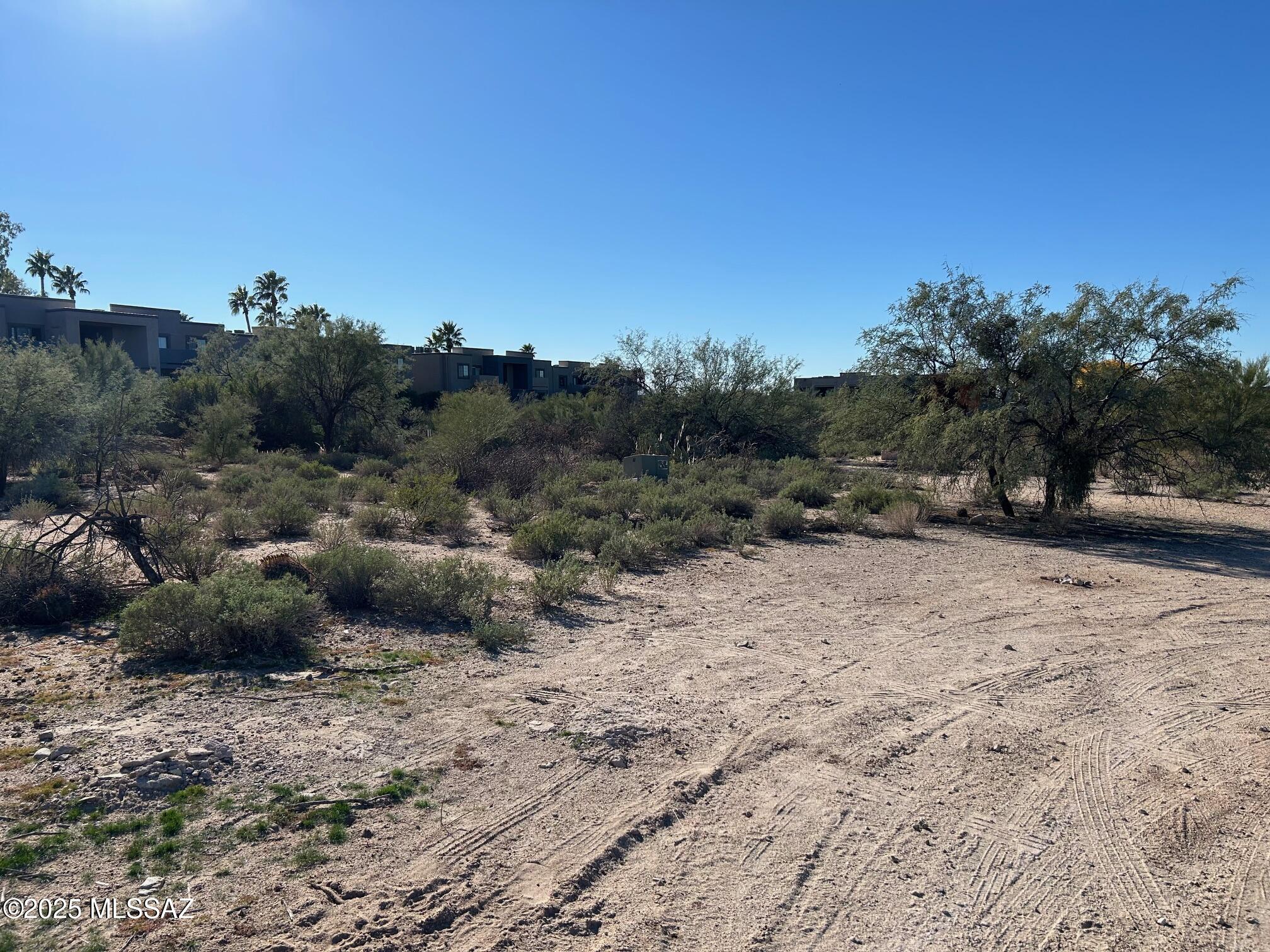 North Oracle Road, Unit 22516 Tucson, AZ 85704 - Photo 4 of 10 a view of a dry yard with trees