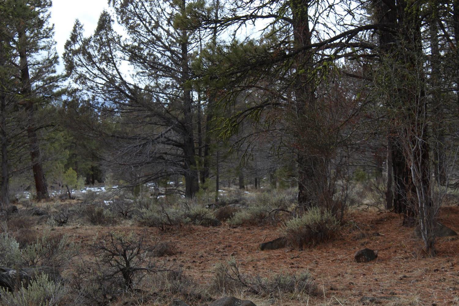 0 High Country Ranch Bly, OR 97622 - Photo 15 of 16 Additional Photo