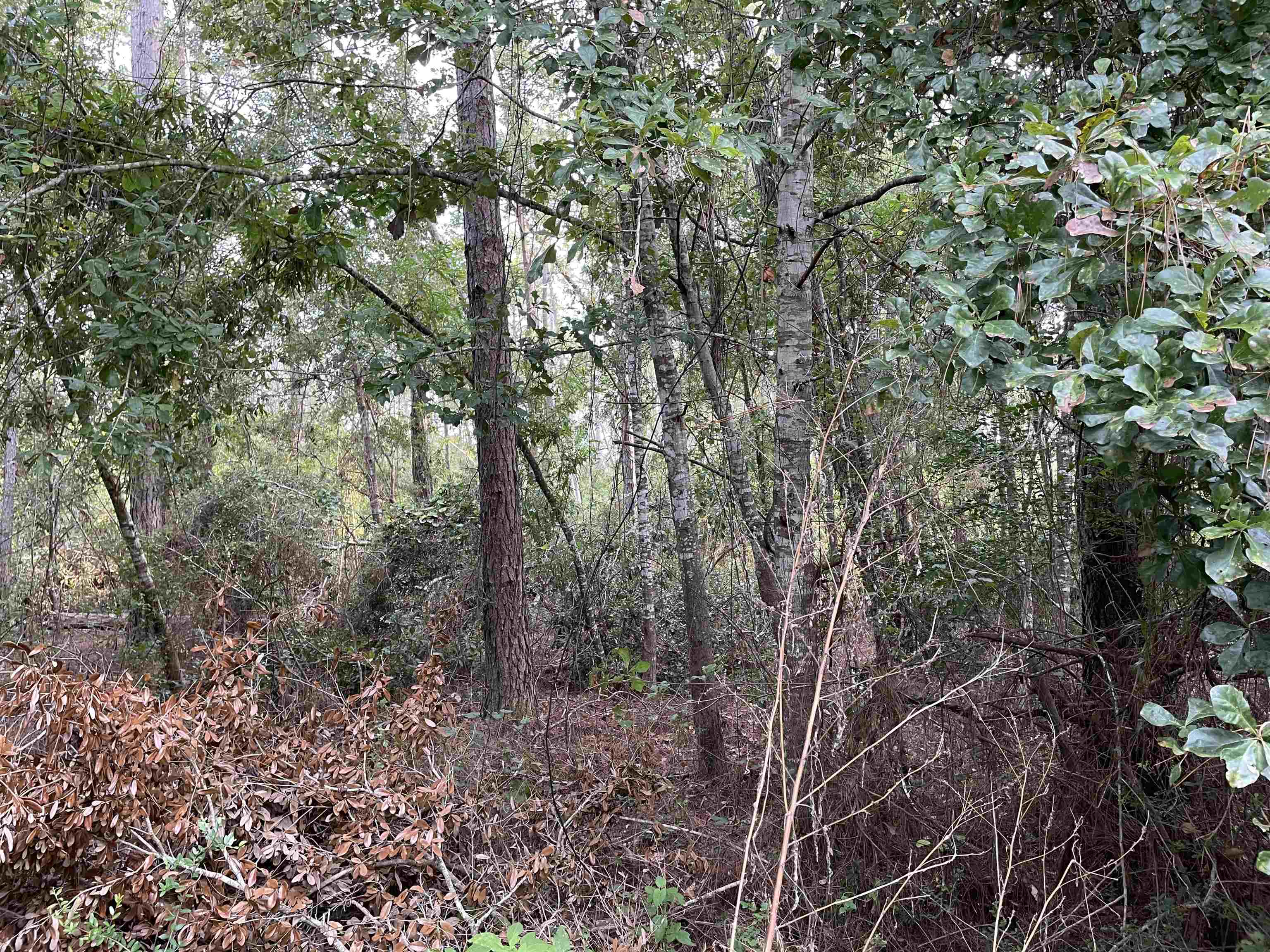 0 Victoria Street Elberta, AL 36530 - Photo 14 of 15