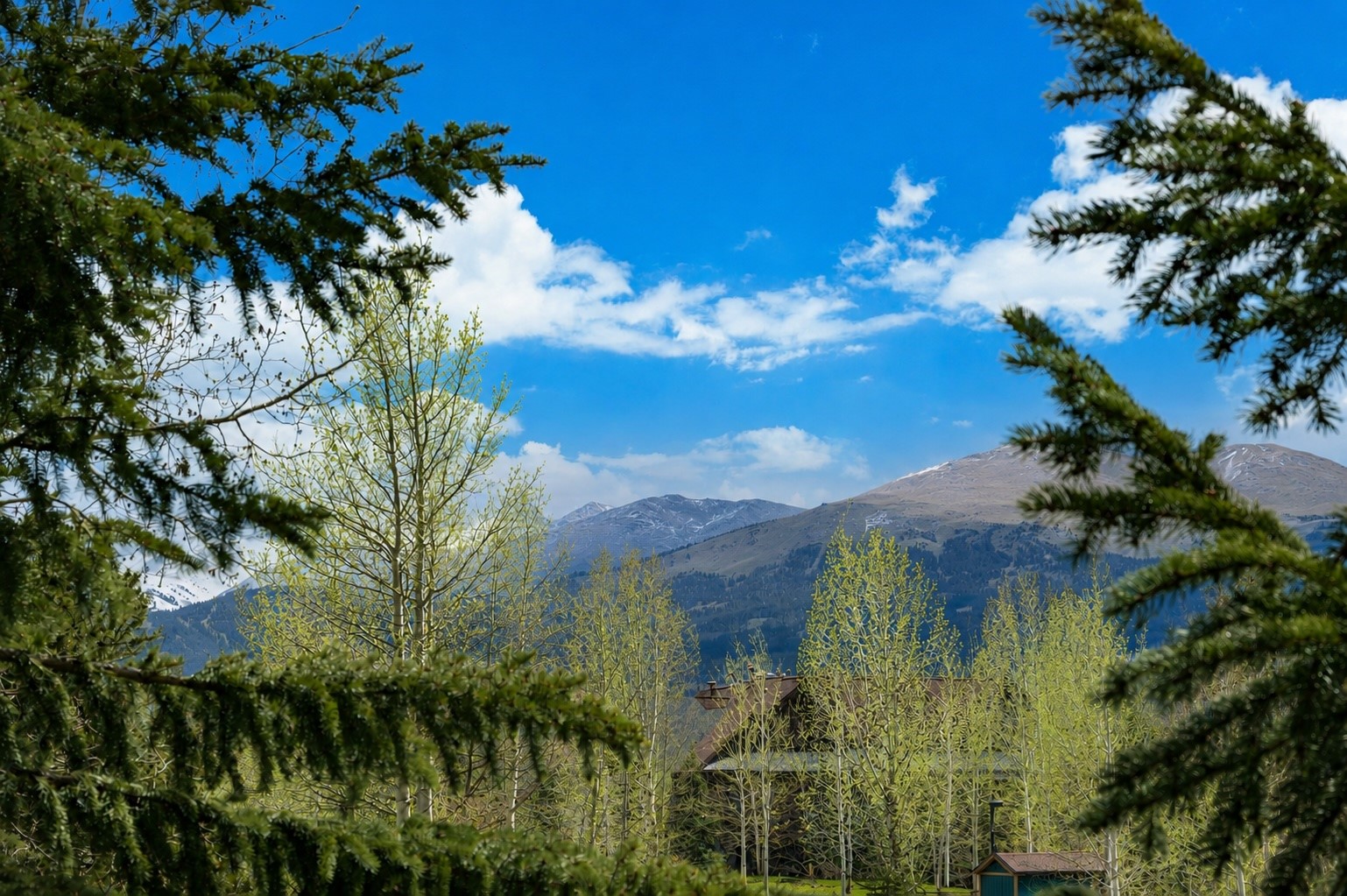 163 High Tor Road, Unit 7 Breckenridge, CO 80424 - Photo 13 of 42 a view of a garden with a tree