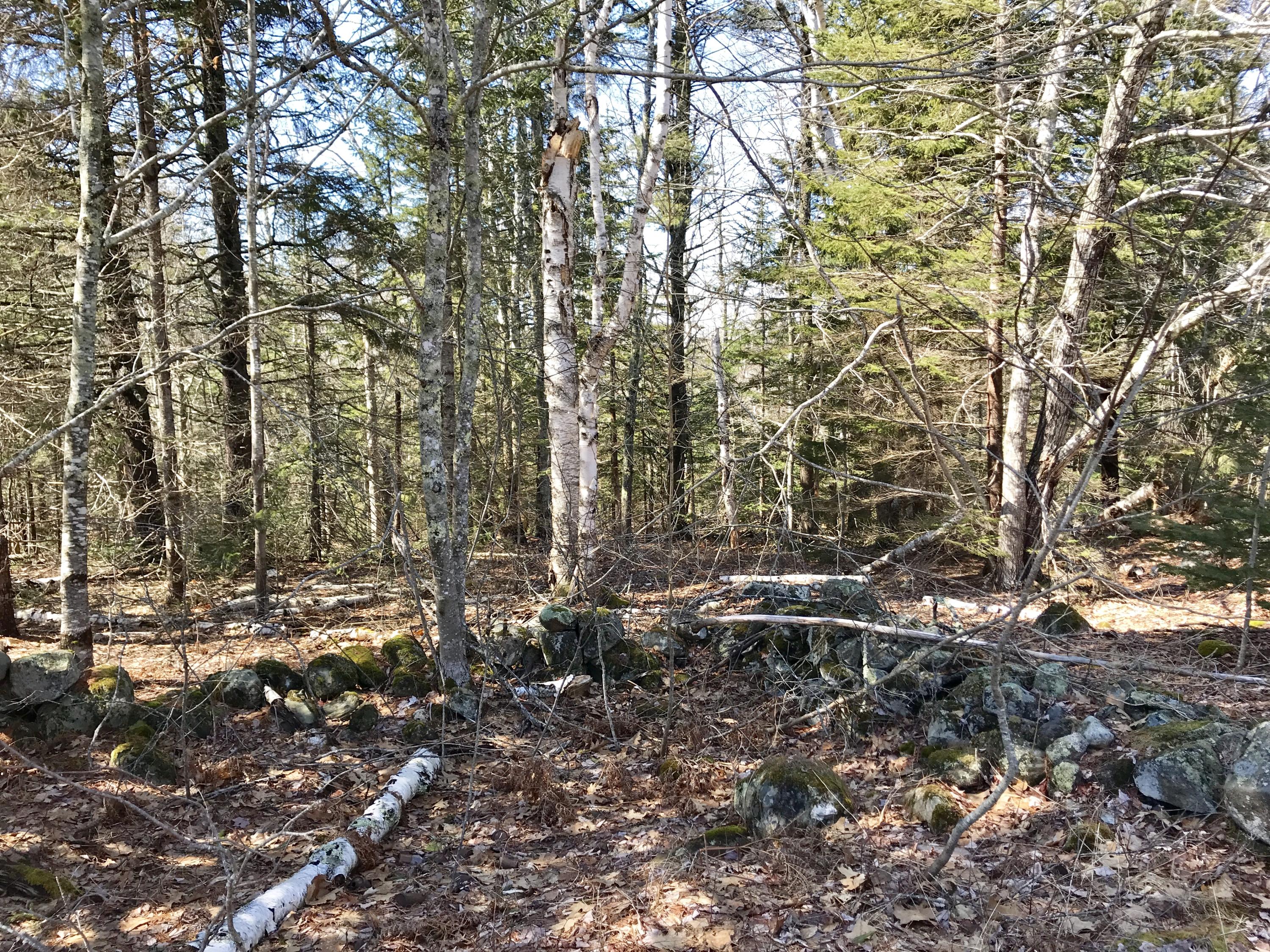 0 Wallston Road Tenants Harbor, ME 04860 - Photo 7 of 27 IMG_8610
