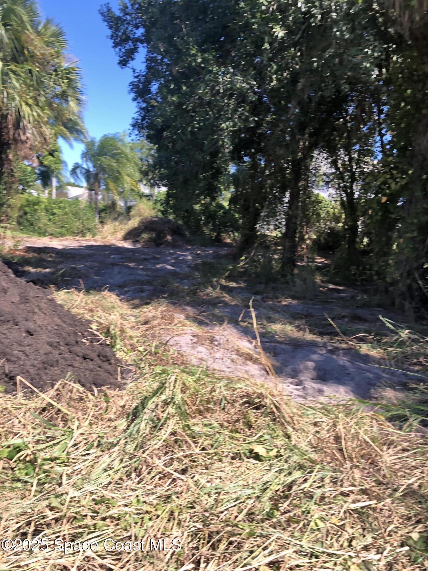 4 Oak Street Micco, FL 32976 - Photo 4 of 7 a view of backyard with green space