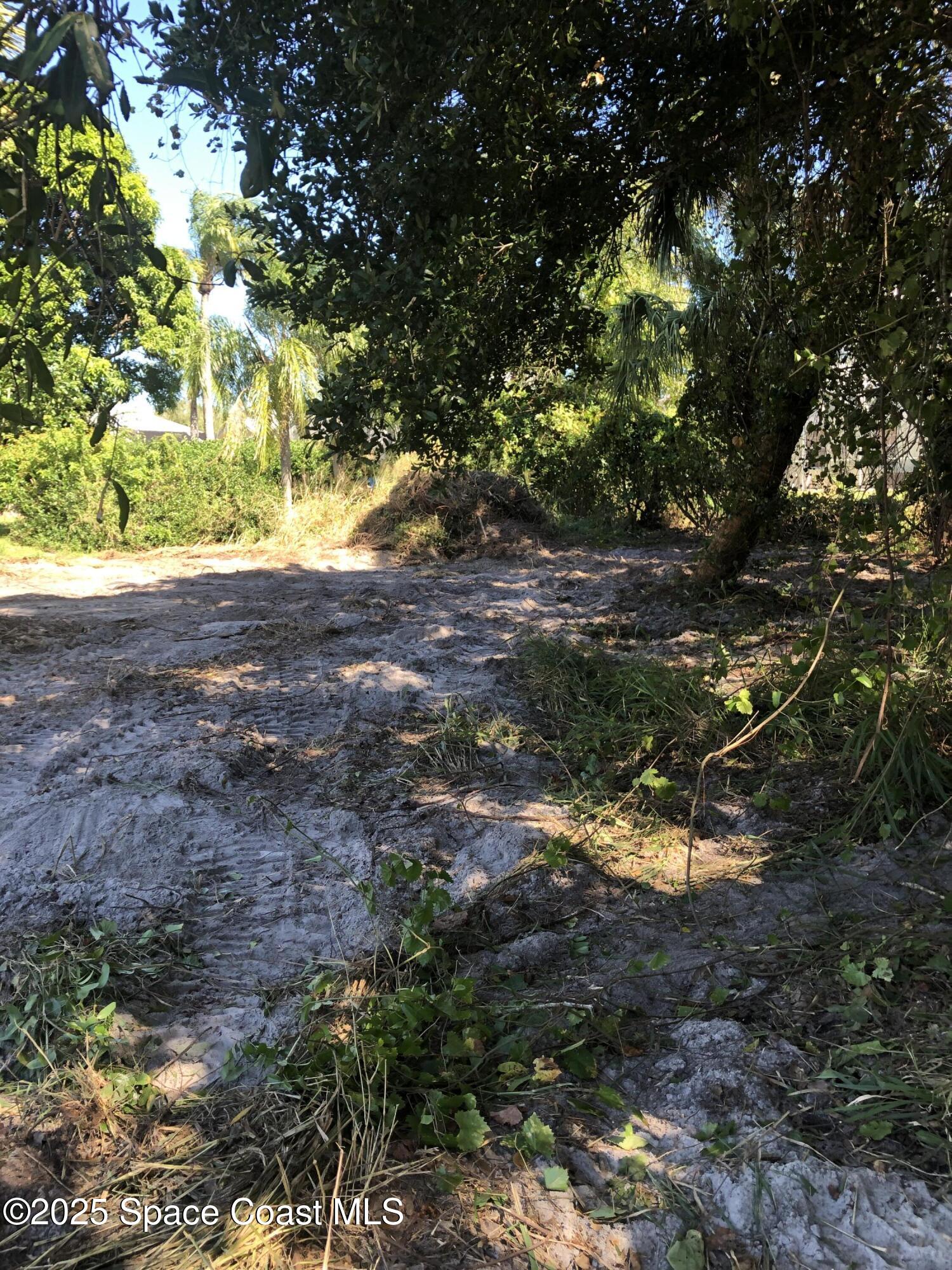 4 Oak Street Micco, FL 32976 - Photo 5 of 7 a view of the trees