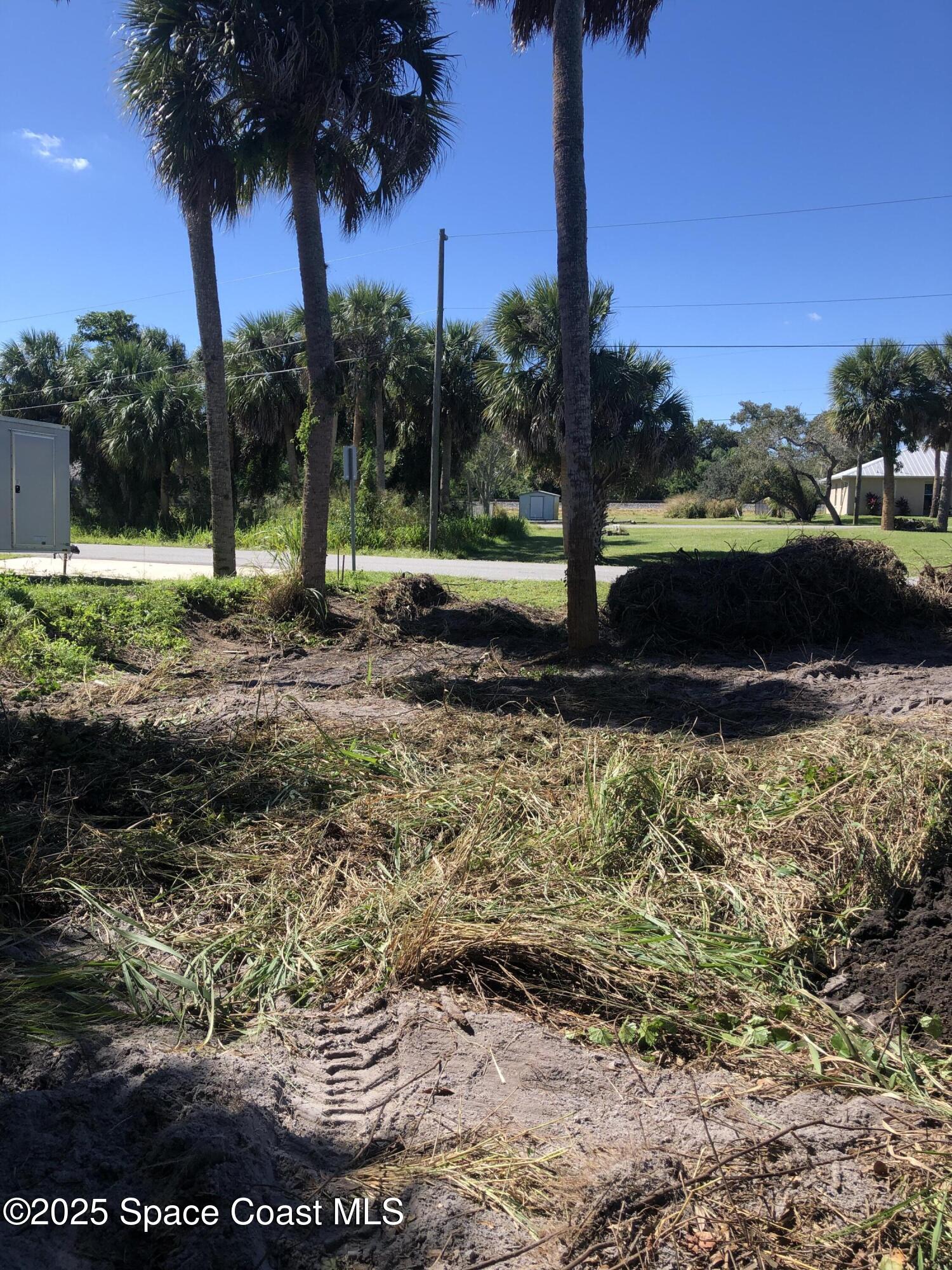 4 Oak Street Micco, FL 32976 - Photo 6 of 7 a view of a yard with a tree