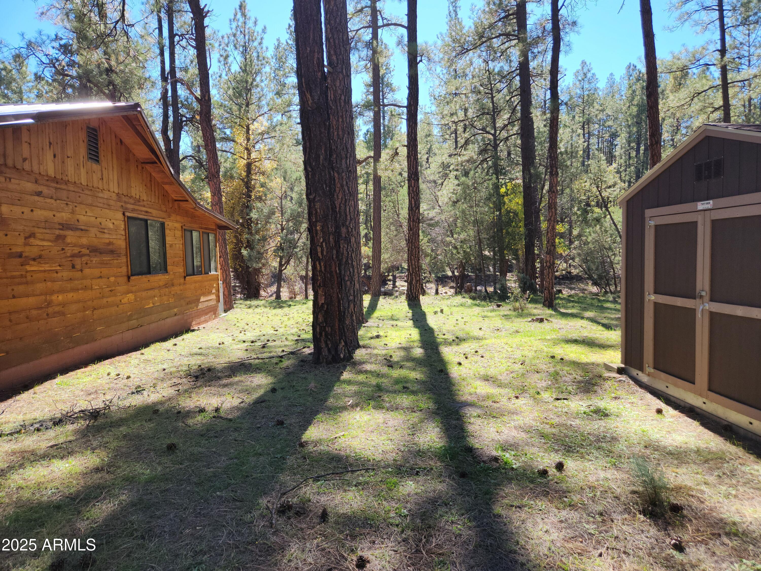 247 West Diamond Road Payson, AZ 85541 - Photo 40 of 42 a view of back yard of the house