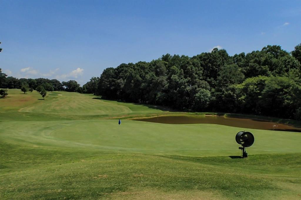 1254 Mulberry Chase Commerce, GA 30530 - Photo 5 of 6 a view of a field with an trees in the background