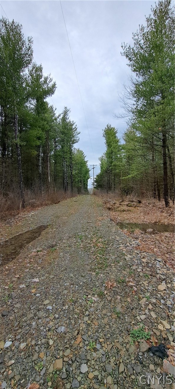 0 Sweet Point Road Redwood, NY 13679 - Photo 5 of 10