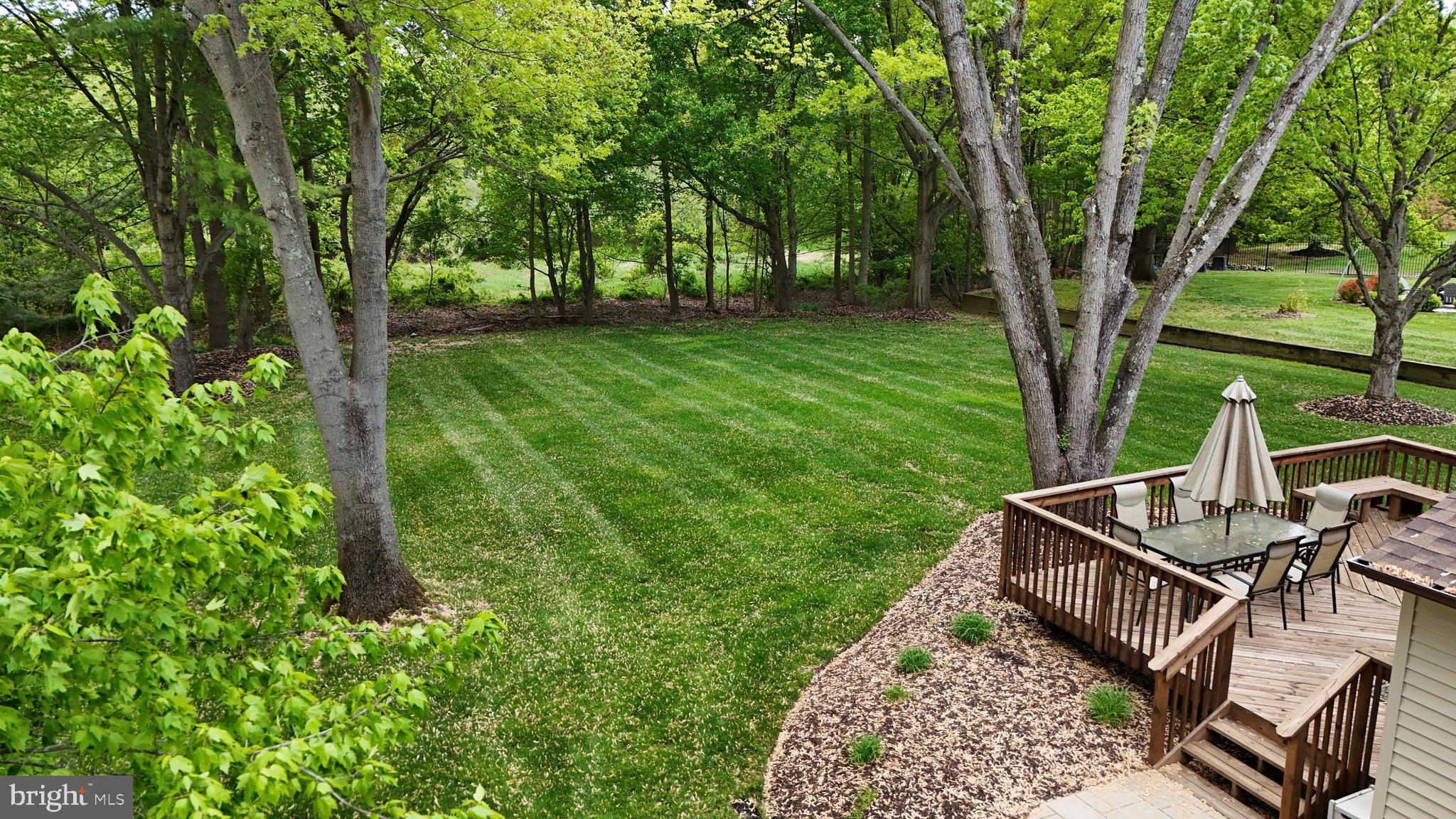 3 Strathmore Place Princeton Junction, NJ 08550 - Photo 28 of 29 a view of backyard with a trees