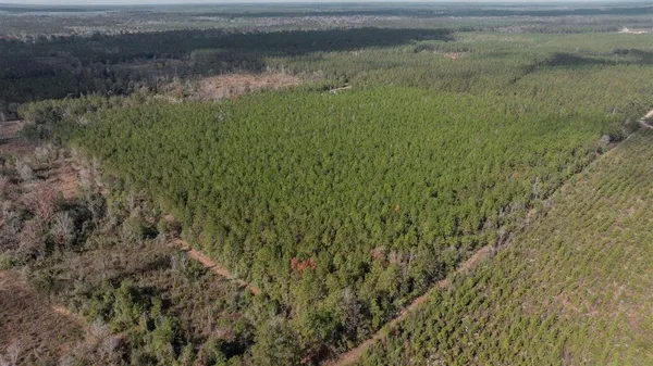 $275,000 | 711 Gravel Pit Road, Pitkin, LA 70656