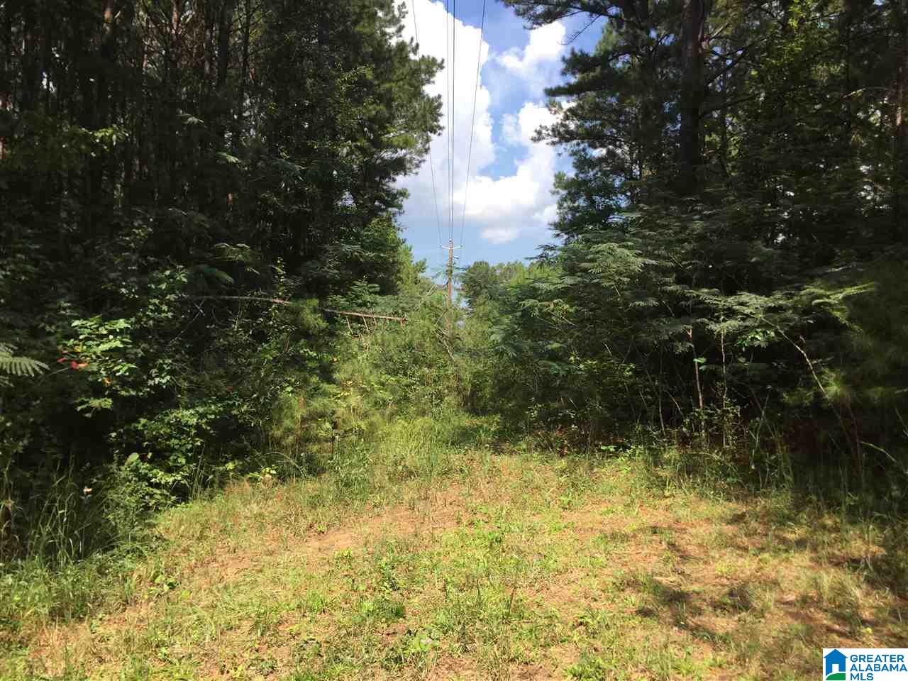 8095 Fishing Camp Road, Unit 36 001 Mulga, AL 35118 - Photo 4 of 10