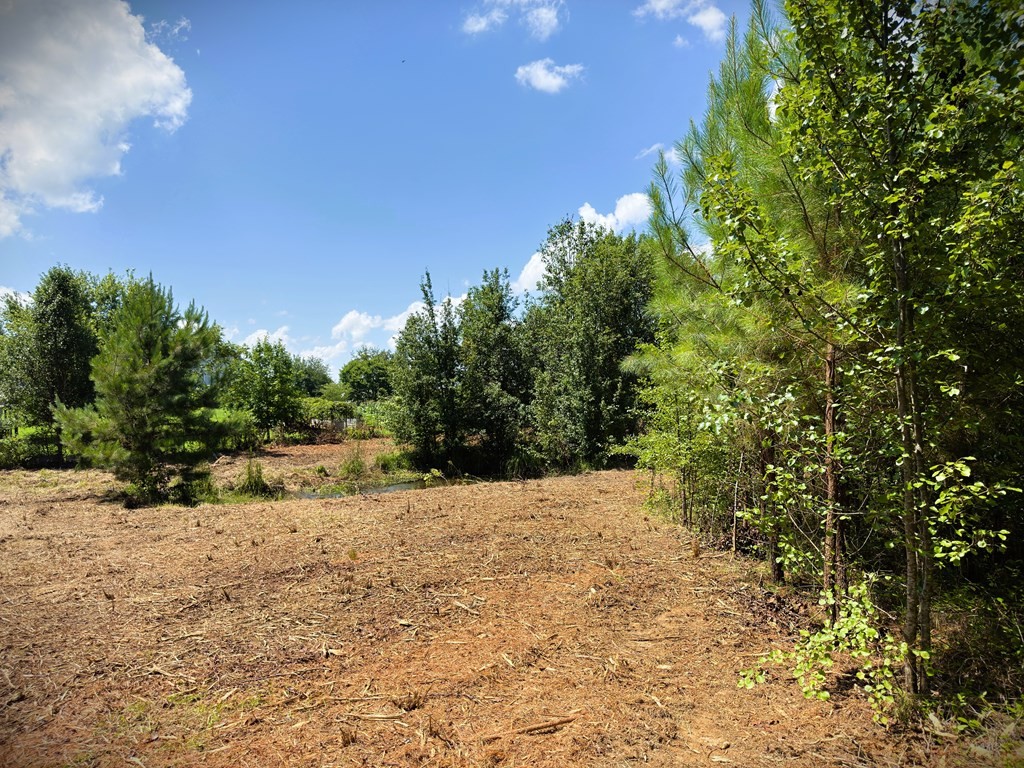 0 Marcrom Road Morrison, TN 37357 - Photo 18 of 26