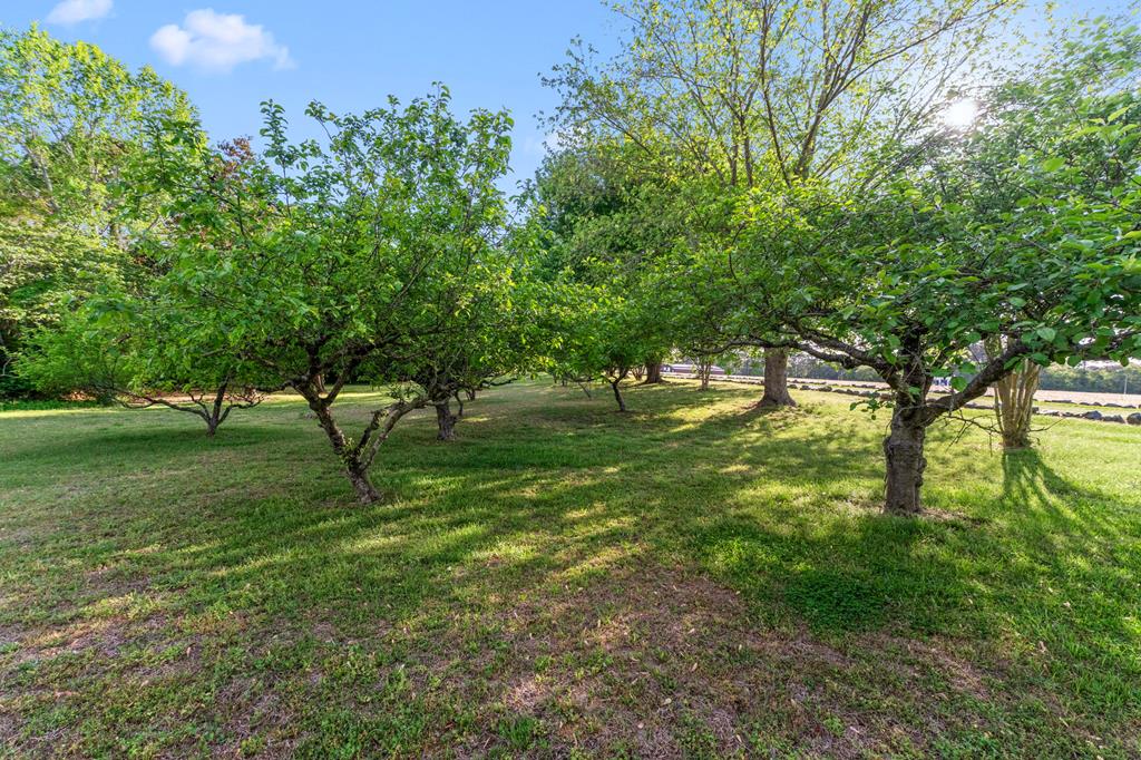 6078 Harmantown Road Machipongo, VA 23405 - Photo 54 of 61