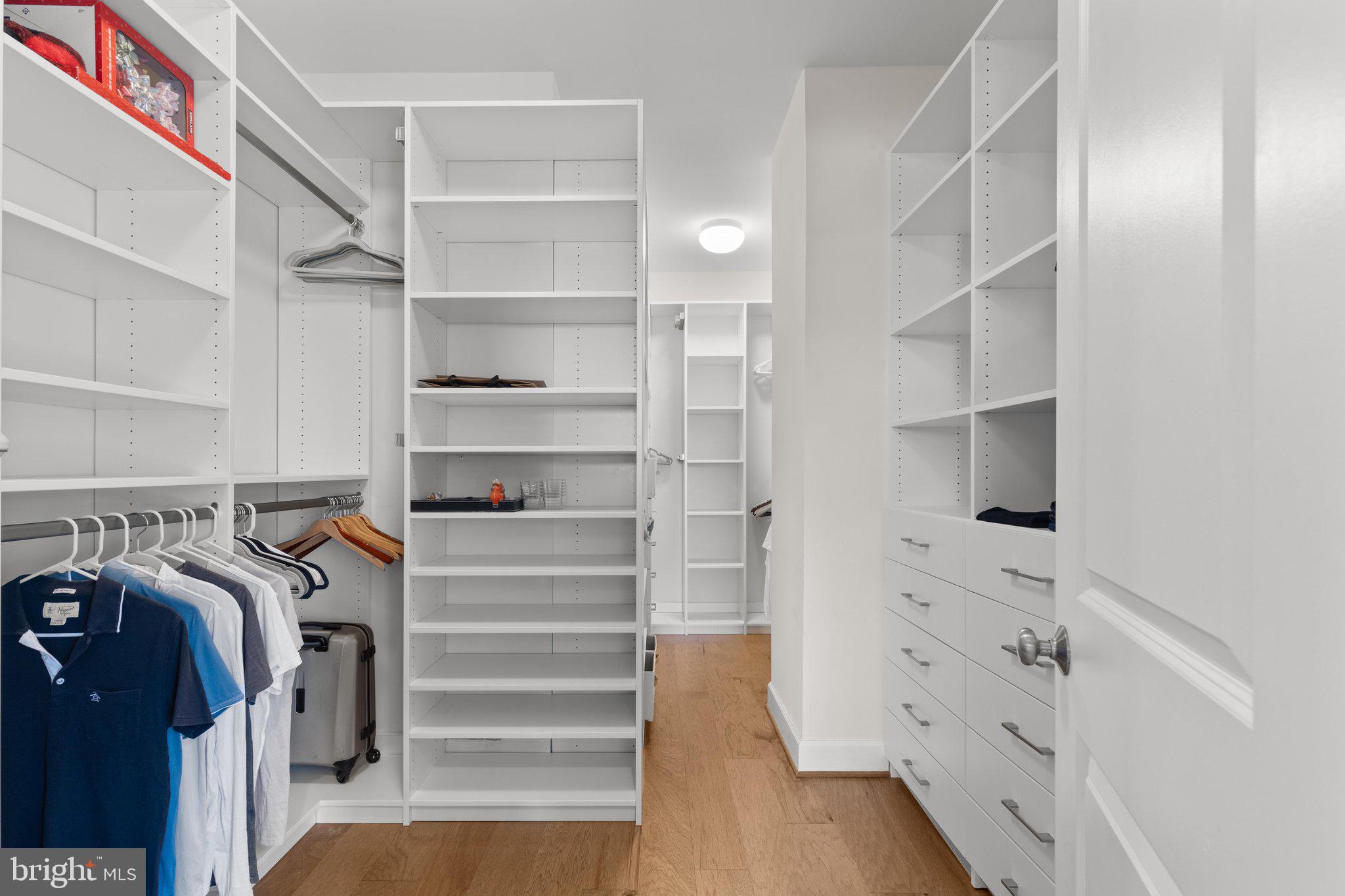 20375 Codman Drive Ashburn, VA 20147 - Photo 39 of 63 Oversized primary closet with custom organizers