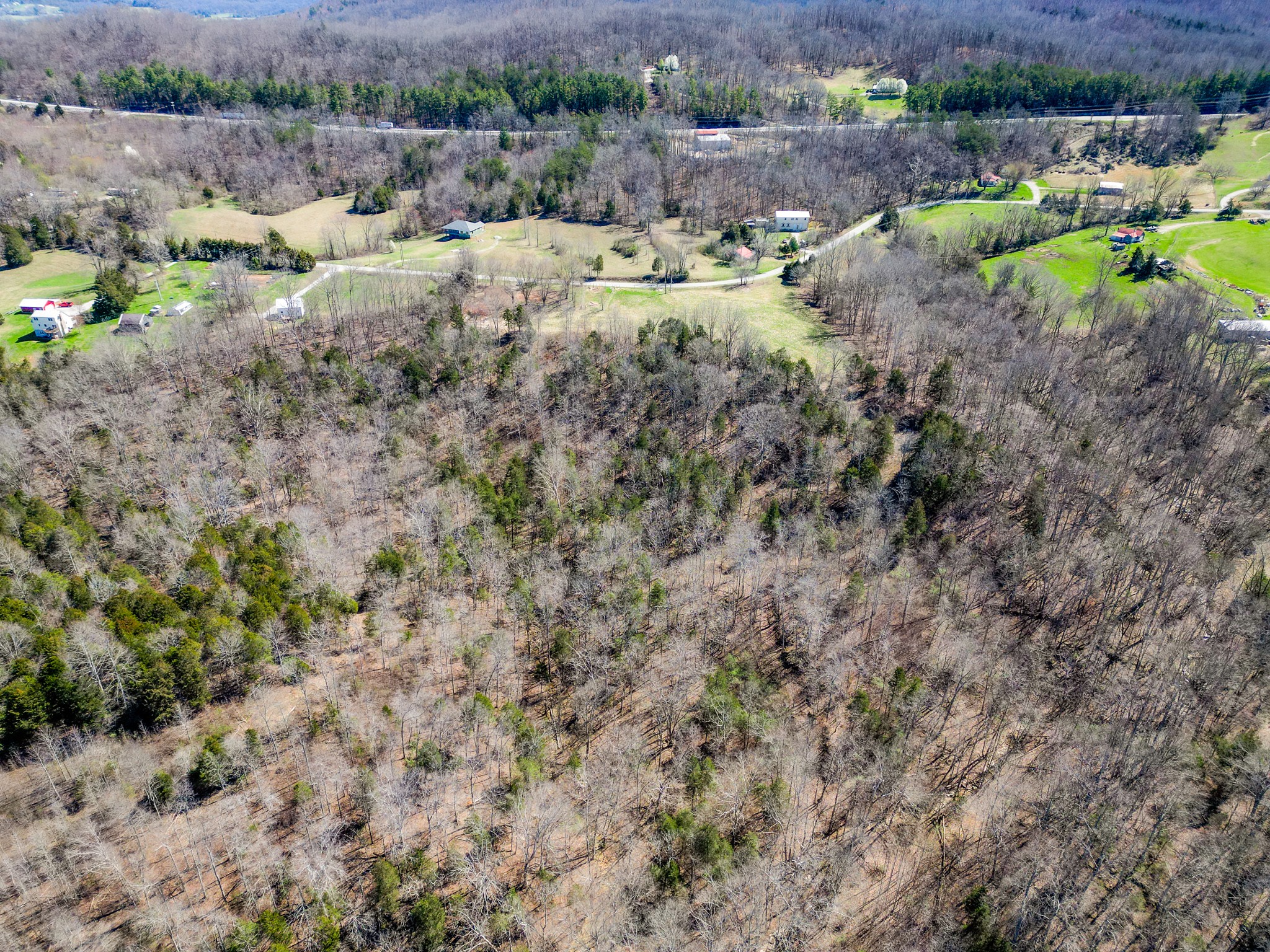 0 Twin Oaks Road Livingston, TN 38570 - Photo 25 of 32 Gallery Image 25