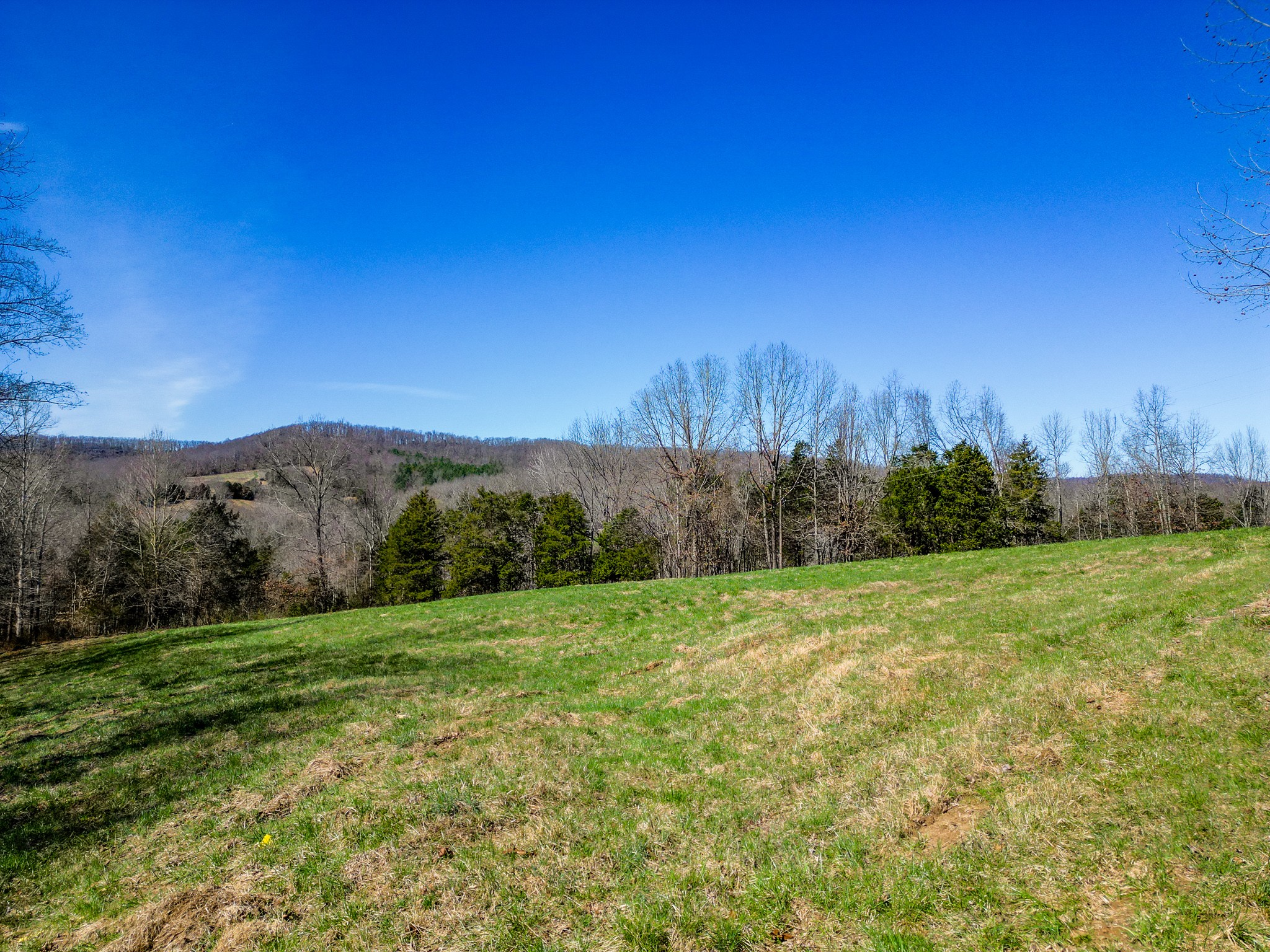 0 Twin Oaks Road Livingston, TN 38570 - Photo 10 of 32 Gallery Image 10
