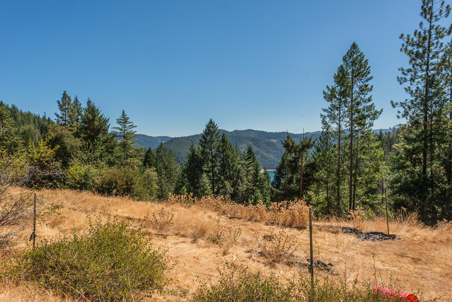 1511 Upper Moore Gulch Road Trinity Center, CA 96091 - Photo 46 of 62 DSC_6717
