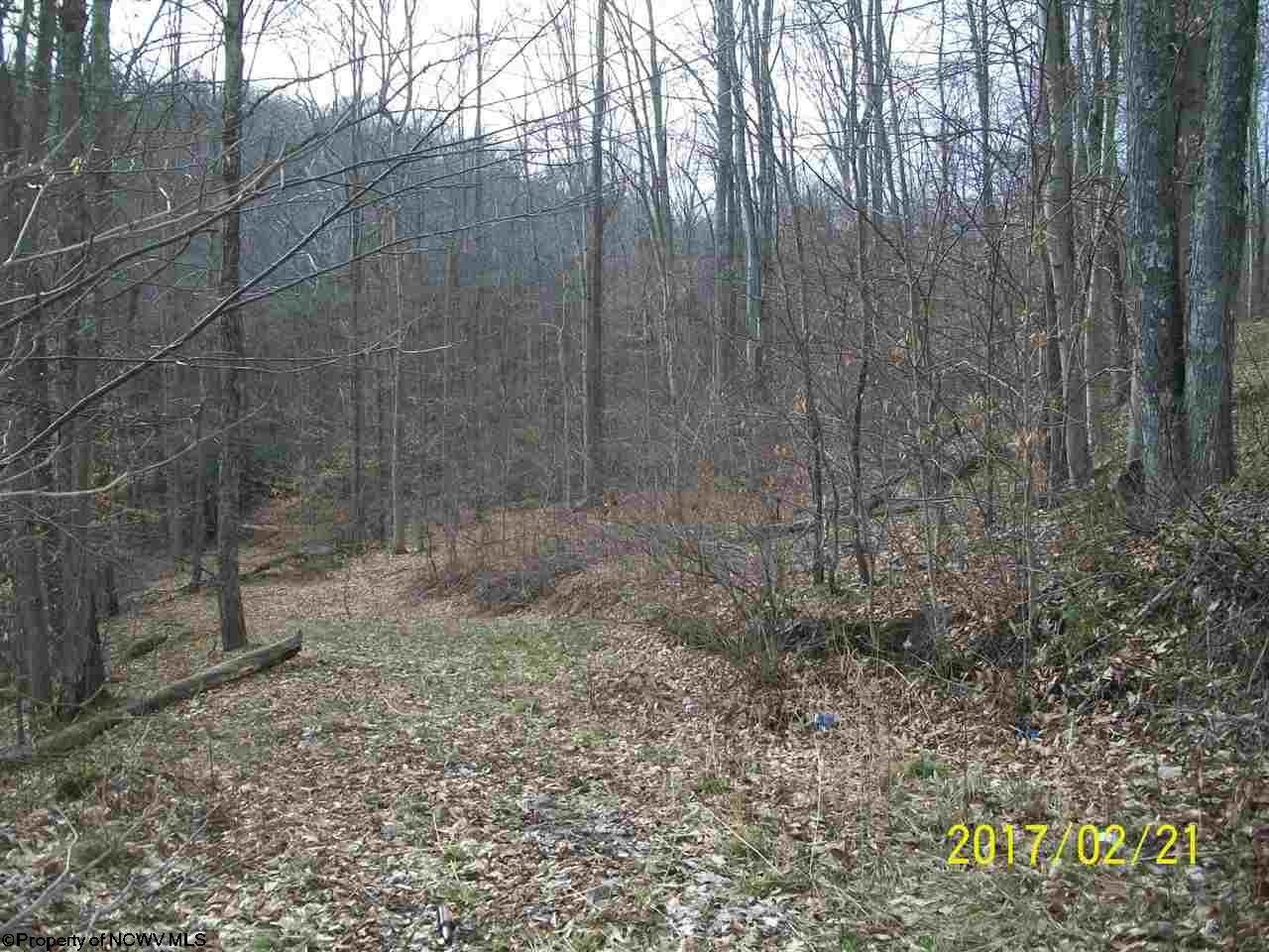 0 Clemtown Road Philippi, WV 26416 - Photo 3 of 8 Gallery Image 3