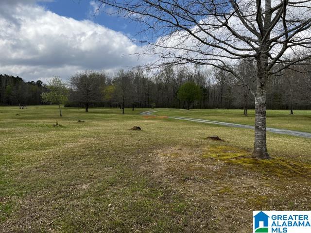 253 Foster Lane Sylacauga, AL 35150 - Photo 13 of 30