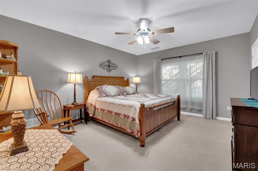 218 Fiddlecreek Ridge Road Wentzville, MO 63385 - Photo 20 of 29