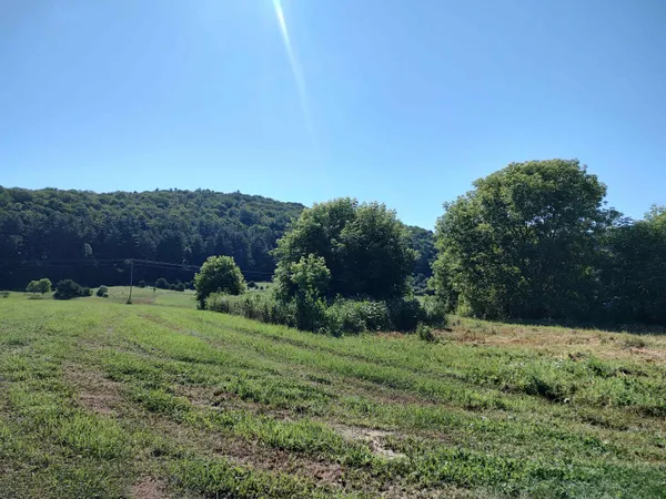$290,000 | 14 South Vt Route, Randolph Center, VT 05061