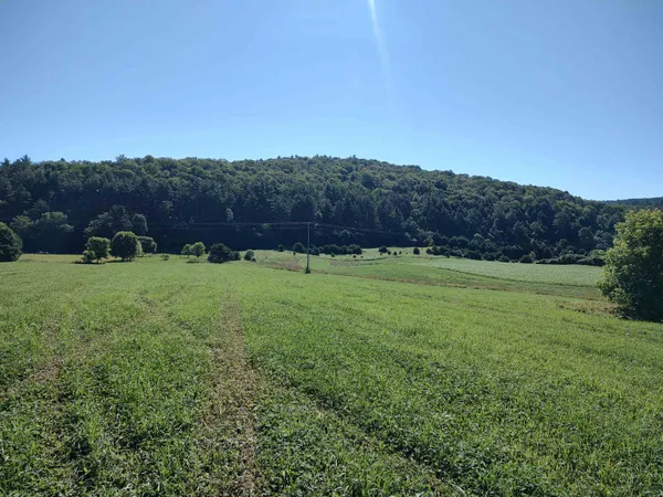 $290,000 | 14 South Vt Route, Randolph Center, VT 05061