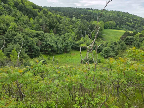 $290,000 | 14 South Vt Route, Randolph Center, VT 05061