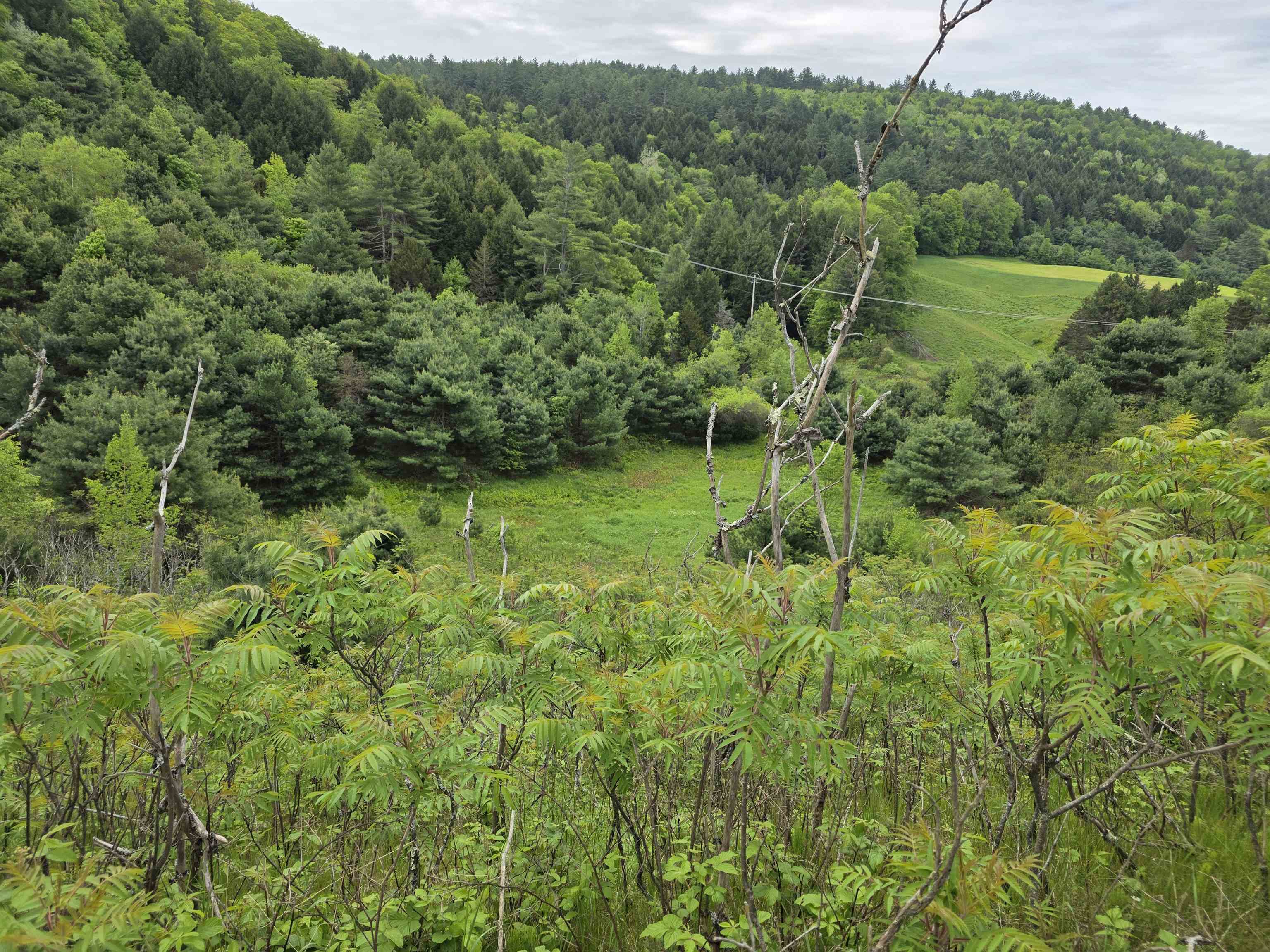 14 South Vt Route Randolph Center, VT 05061 - Photo 15 of 22
