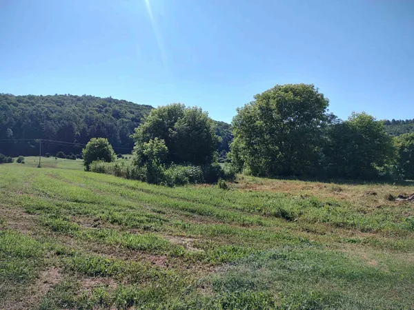 $290,000 | 14 South Vt Route, Randolph Center, VT 05061