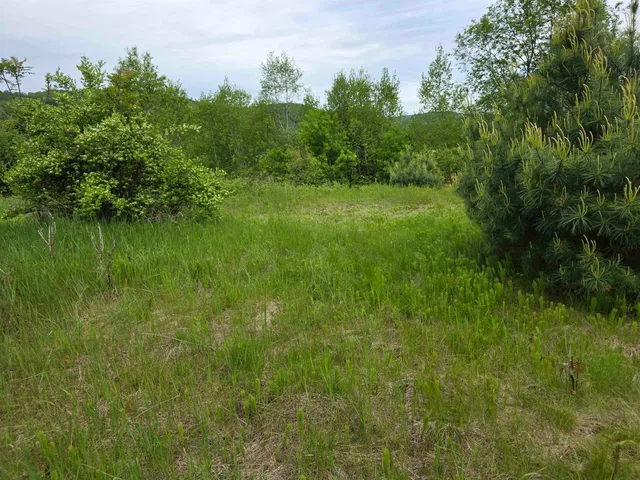 $319,000 | 14 South Vt Route, Randolph Center, VT 05061