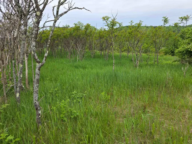 $319,000 | 14 South Vt Route, Randolph Center, VT 05061