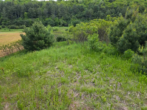 $290,000 | 14 South Vt Route, Randolph Center, VT 05061