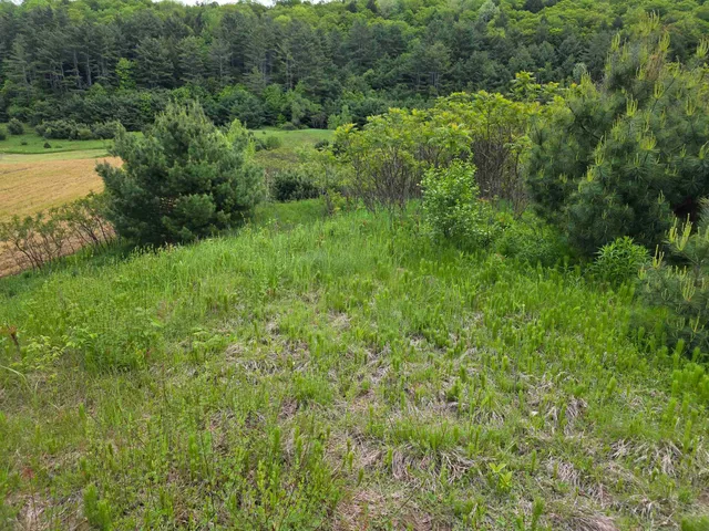 $319,000 | 14 South Vt Route, Randolph Center, VT 05061