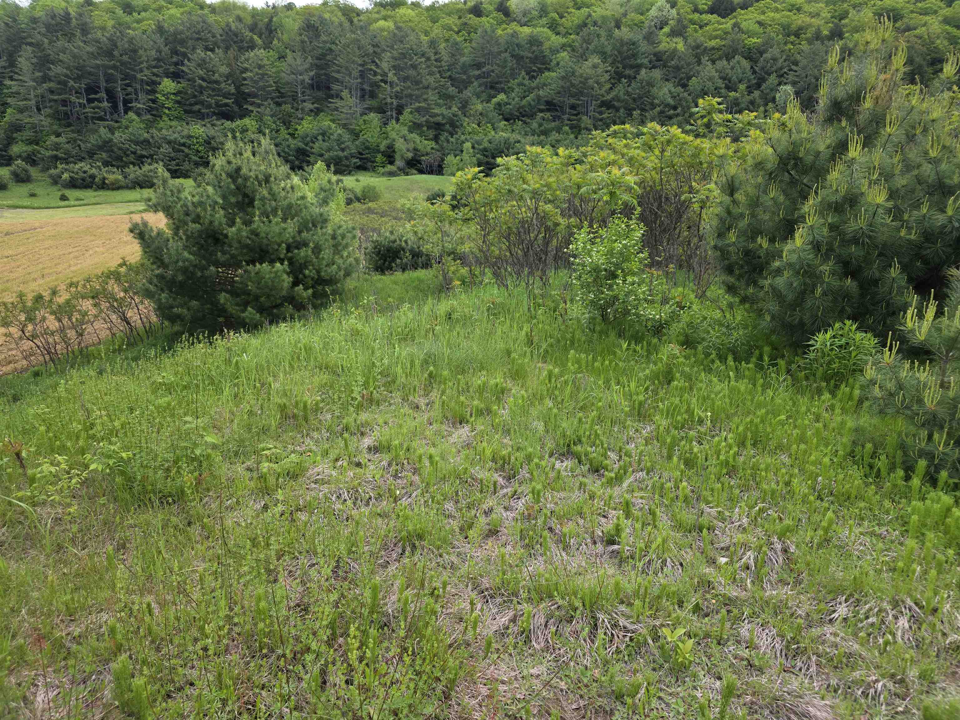 14 South Vt Route Randolph Center, VT 05061 - Photo 7 of 22