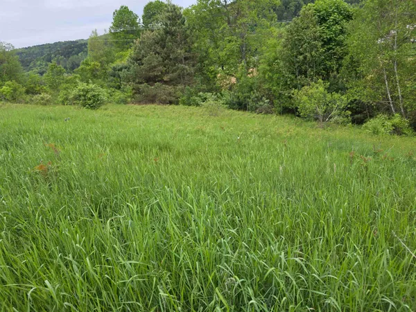 $290,000 | 14 South Vt Route, Randolph Center, VT 05061