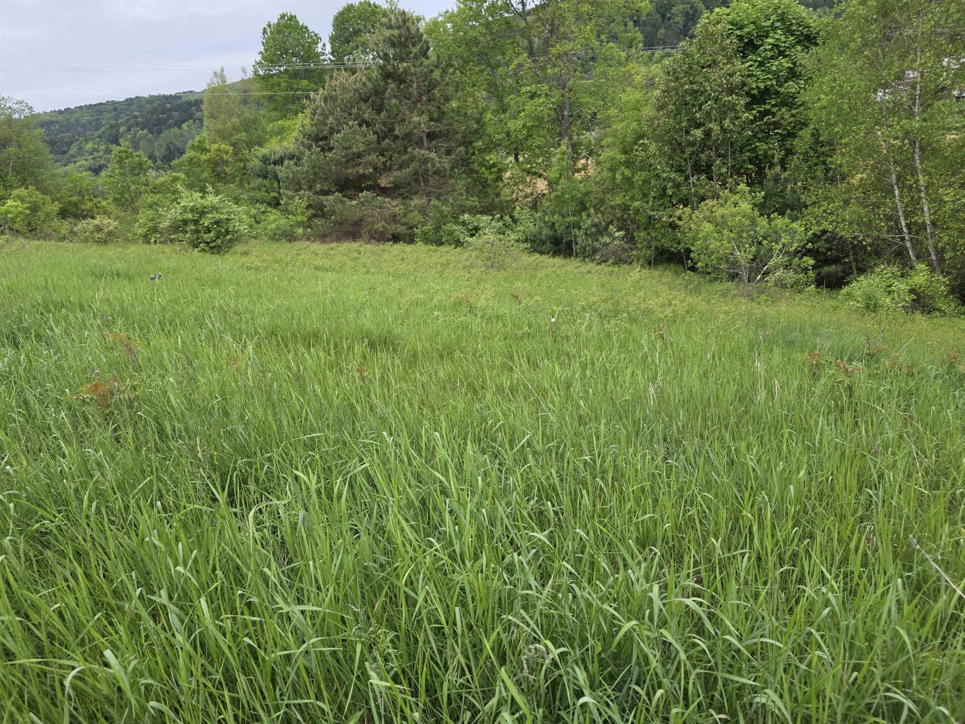 14 South Vt Route Randolph Center, VT 05061 - Photo 8 of 22