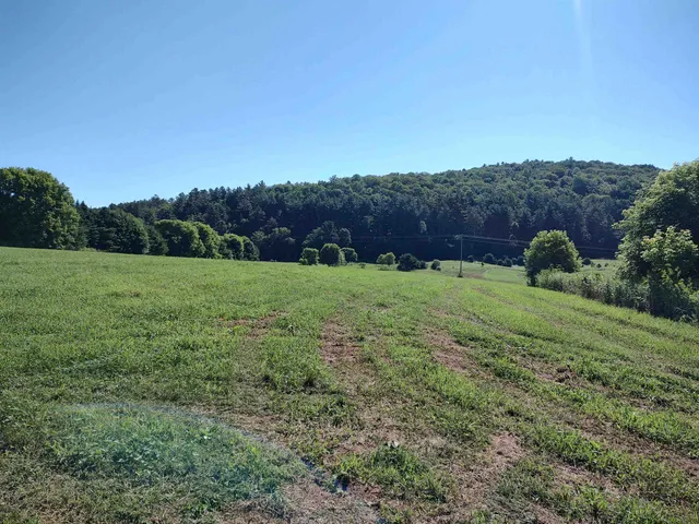 $319,000 | 14 South Vt Route, Randolph Center, VT 05061