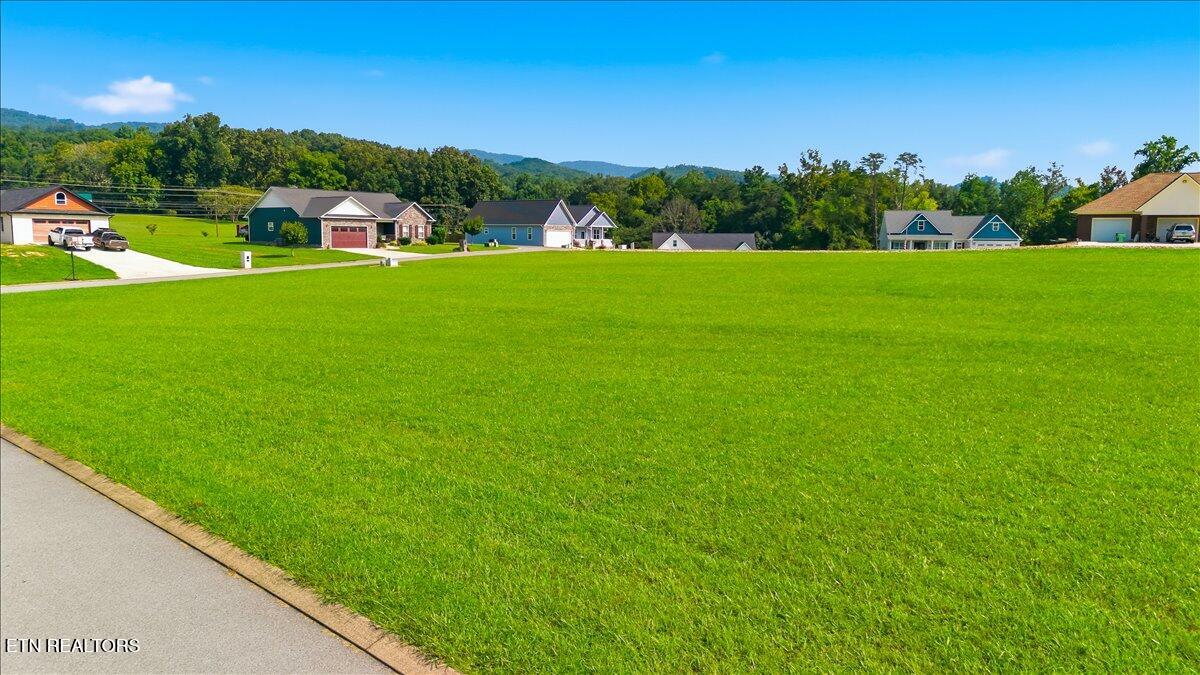 Shields Crossing Drive Bean Station, TN 37708 - Photo 6 of 13 03-DJI_20260827110634_0598_D