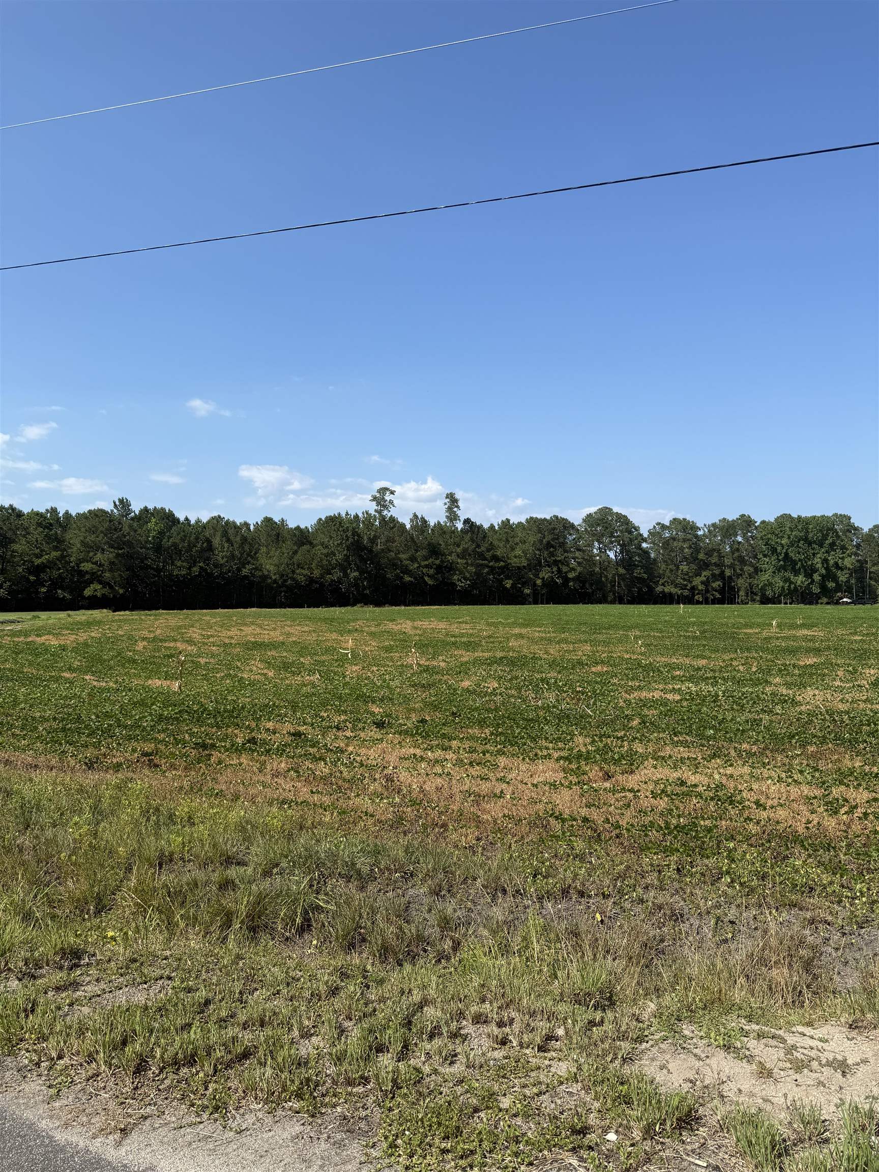 Tbd Dupont Road Aynor, SC 29511 - Photo 1 of 5