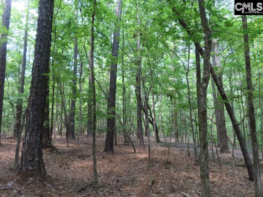 0 Park Road Ridgeway, SC 29130 - Photo 31 of 47