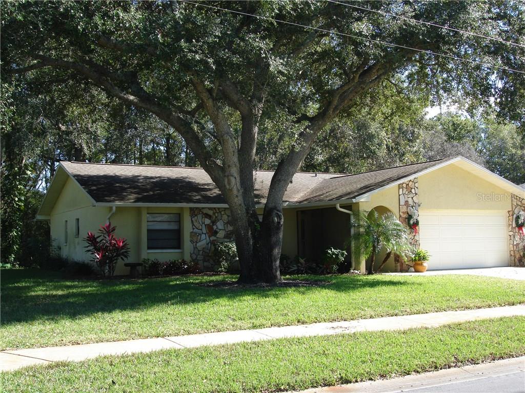 3738 Spring Valley Drive New Port Richey, FL 34655 - Photo 1 of 1 EXTERIOR on 1/4 ACRE LOT