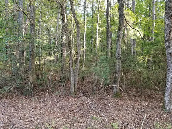 $30,000 | 0 Buckhead Road, Smoaks, SC 29481