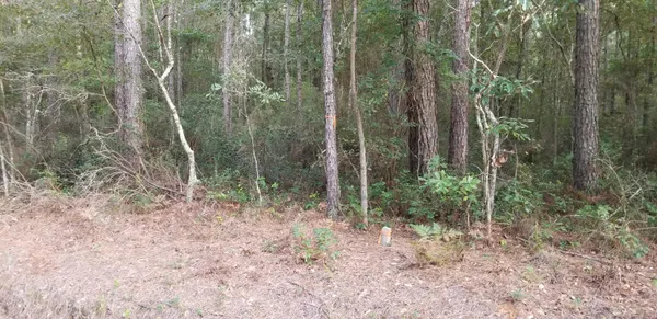 $30,000 | 0 Buckhead Road, Smoaks, SC 29481
