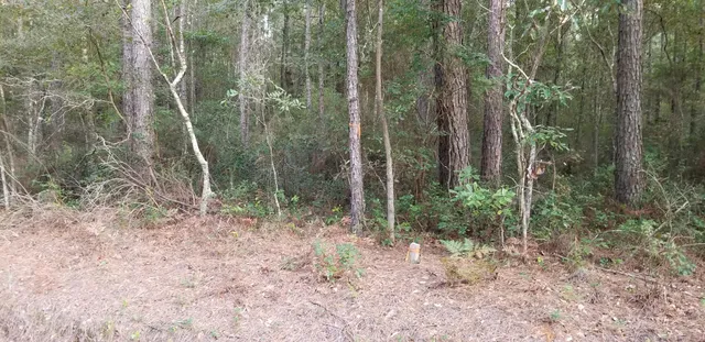 $30,000 | 0 Buckhead Road, Smoaks, SC 29481