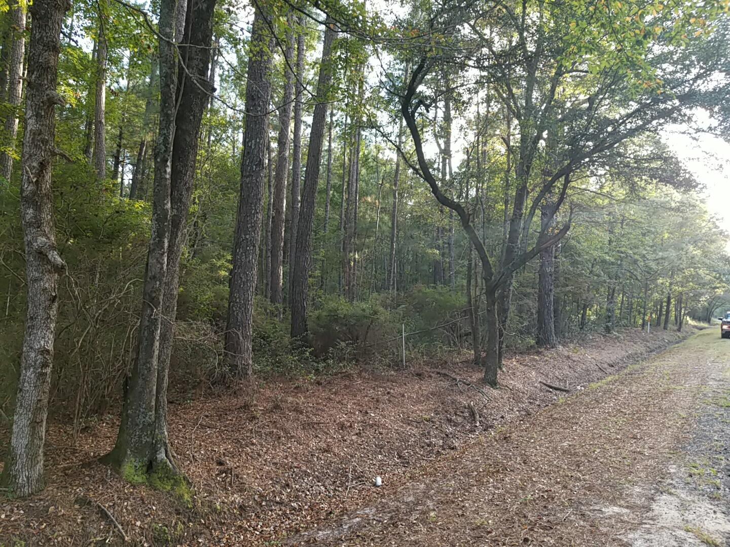 0 Buckhead Road Smoaks, SC 29481 - Photo 3 of 5 20250922_181527