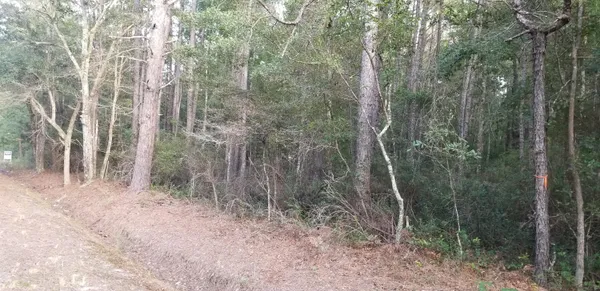 $30,000 | 0 Buckhead Road, Smoaks, SC 29481